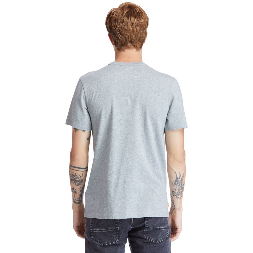 Camisetas Timberland Hombre Kennebec River Tree-Logo Gris - Chile WMJ-549081